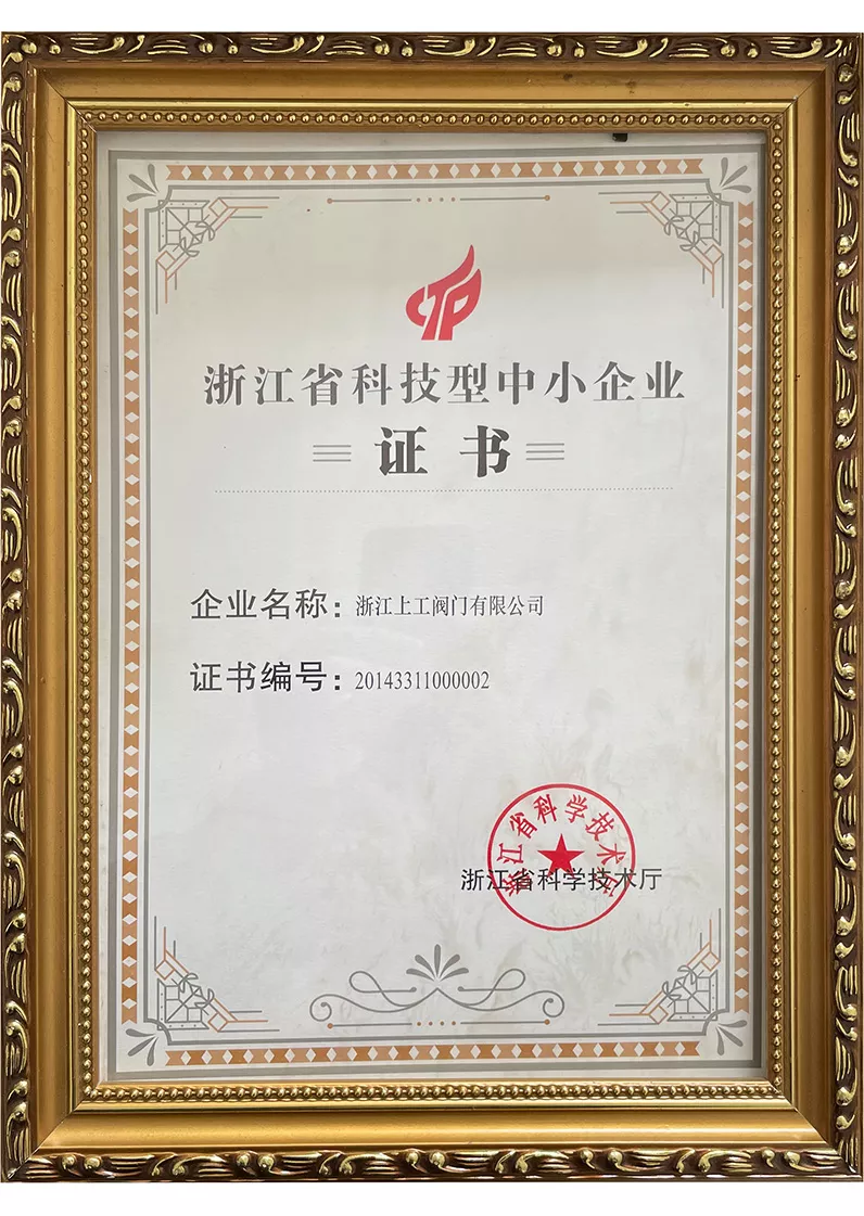 浙江省科技型中小企业证书